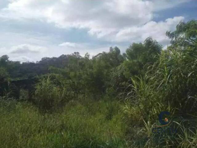 Terreno para Venda em Cotia - 4