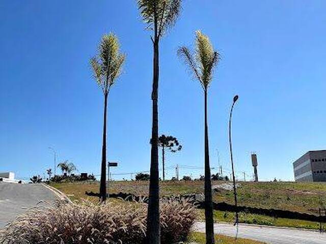 #CEN198 - Casa em condomínio para Venda em Cotia - SP