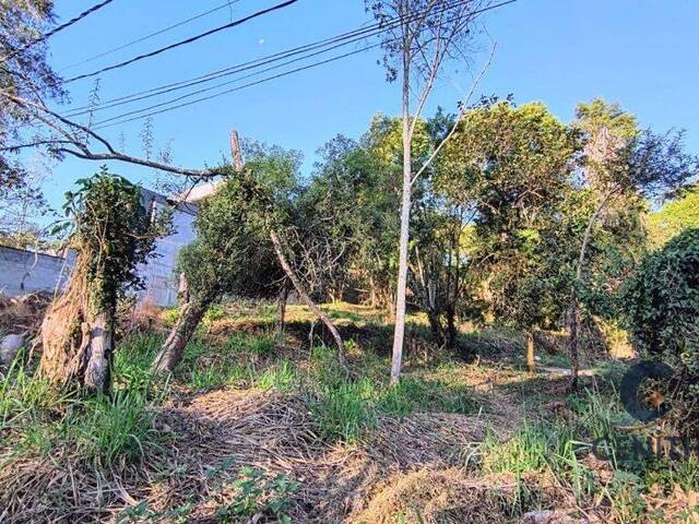 #CEN207 - Terreno em condomínio para Venda em Carapicuíba - SP - 3