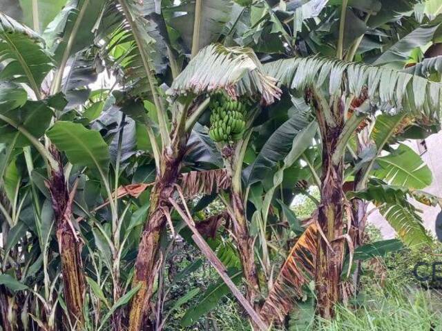 #CEN355 - Terreno para Venda em Cotia - SP - 3