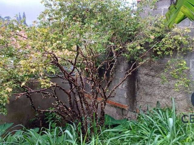 Terreno para Venda em Cotia - 5