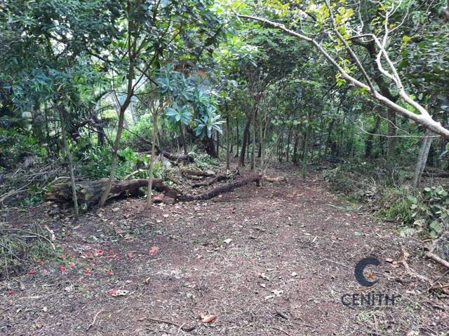 #CEN357 - Terreno para Venda em Cotia - SP - 2