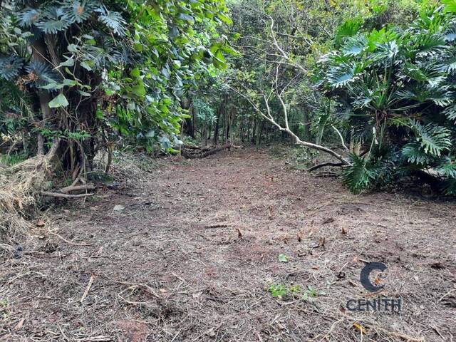 Terreno para Venda em Cotia - 5