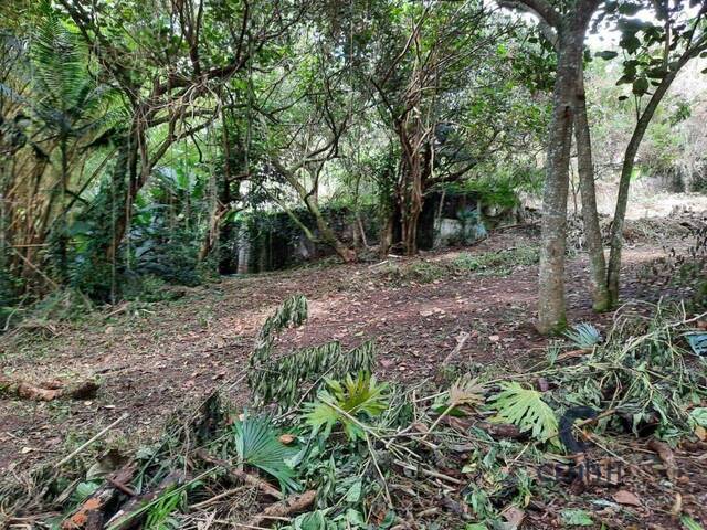 #CEN357 - Terreno para Venda em Cotia - SP - 3