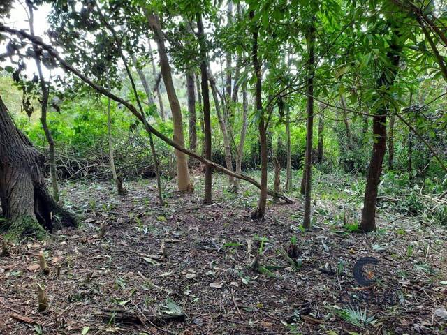 Terreno para Venda em Cotia - 4