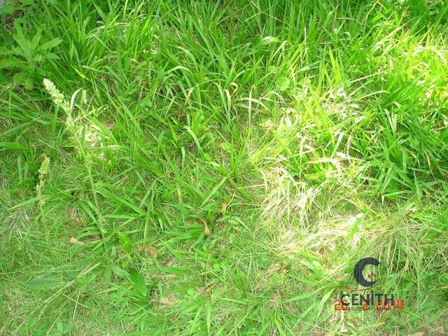 #CEN437 - Terreno em condomínio para Venda em Carapicuíba - SP - 1