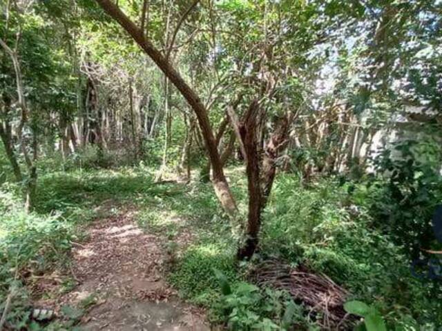 Terreno em condomínio para Venda em Cotia - 4