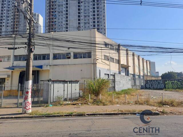 #CEN775 - Galpão para Venda em São Paulo - SP - 1