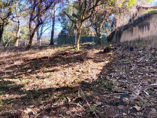 Terreno para Venda em Cotia - 4